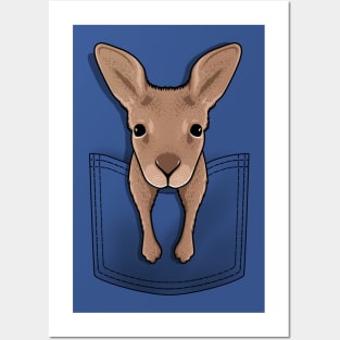 Pocket kangaroo Posters and Art